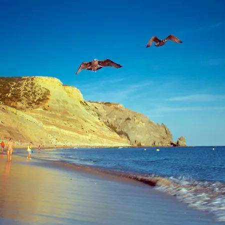 C14 - Casa Da Σπίτι διακοπών *