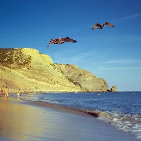 C14 - Casa Da Σπίτι διακοπών *