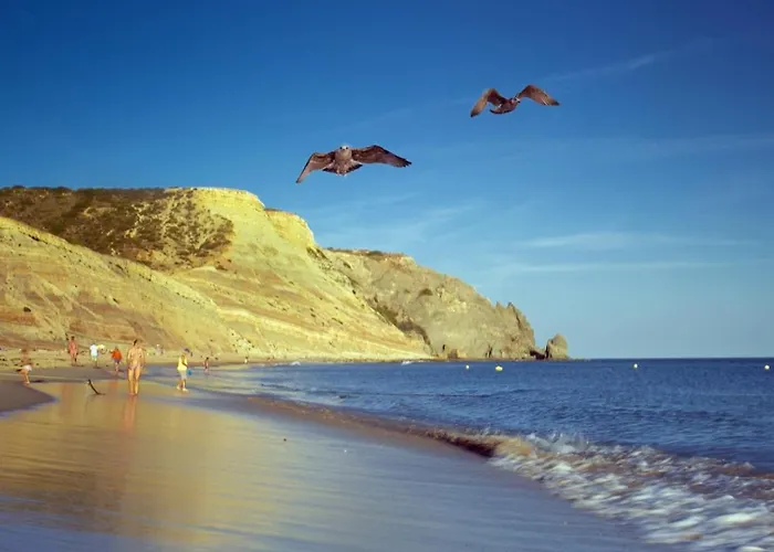 C14 - Casa Da Hébergement de vacances *
